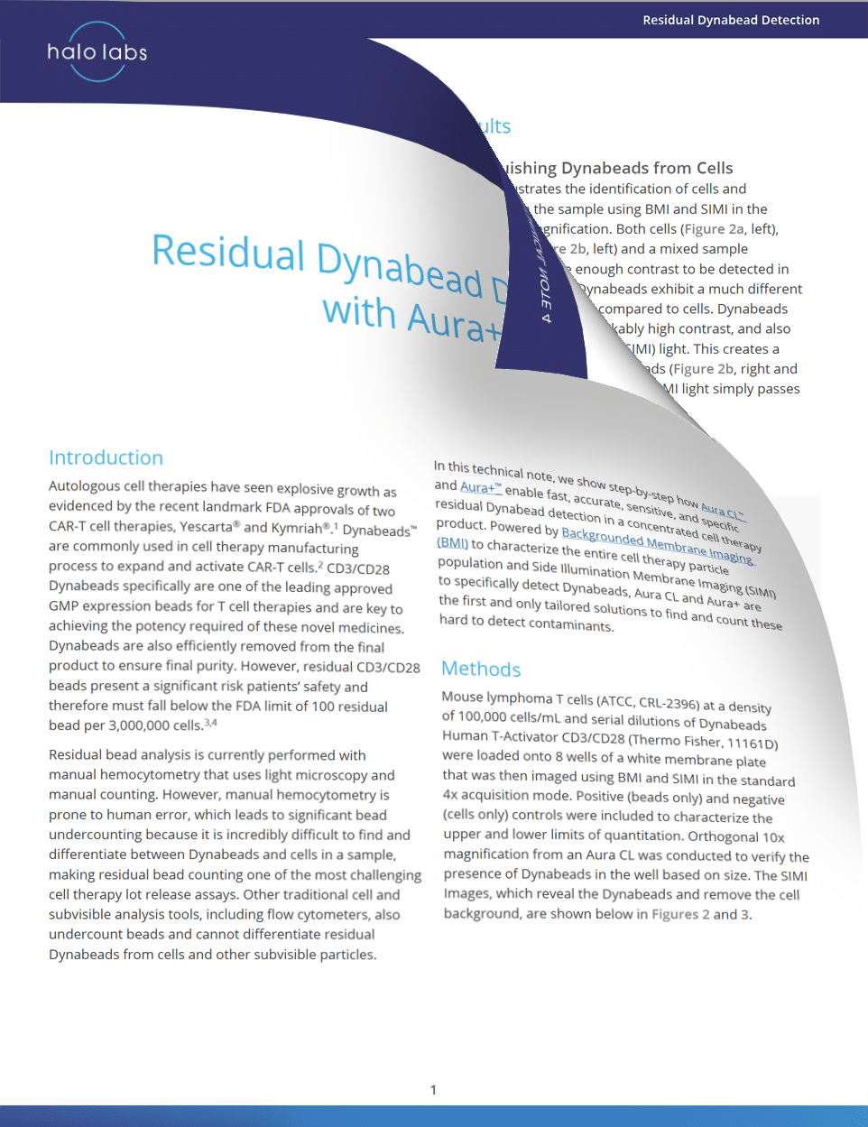 Tech Note 4: Residual Dynabeads Detection with Aura